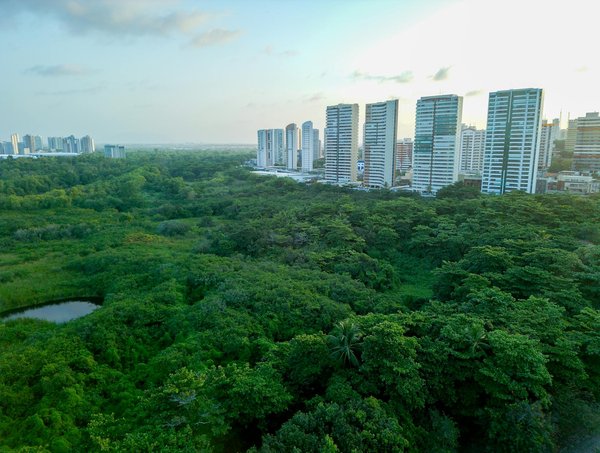 Le pouvoir du commerce solidaire : réinventer nos habitudes de consommation