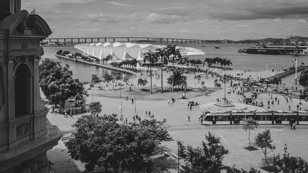 Maine Coon XXL : bien comprendre ce chat géant et affectueux