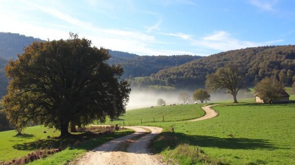 Découvrez les expériences uniques au domaine les ranchisses en ardèche